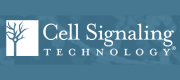 Cell Signaling Technology