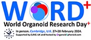World Organoid Research Day+