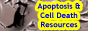 Apoptosis, Caspase and Cell Death Resources Site